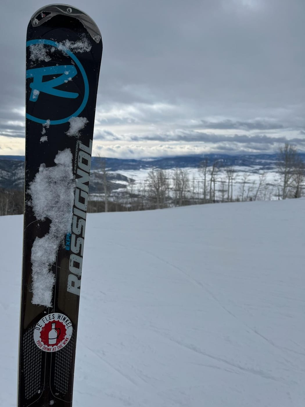 A De Fles Winkel — Your Drink at the Wink — sticker on a Rossignol ski at a snowy mountain summit